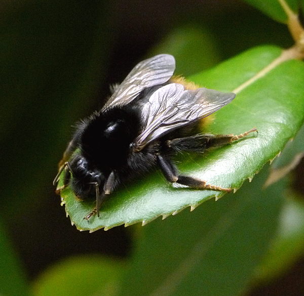 d0091754_244057.jpg