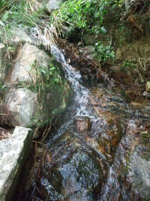 f0205857_22151081.jpg