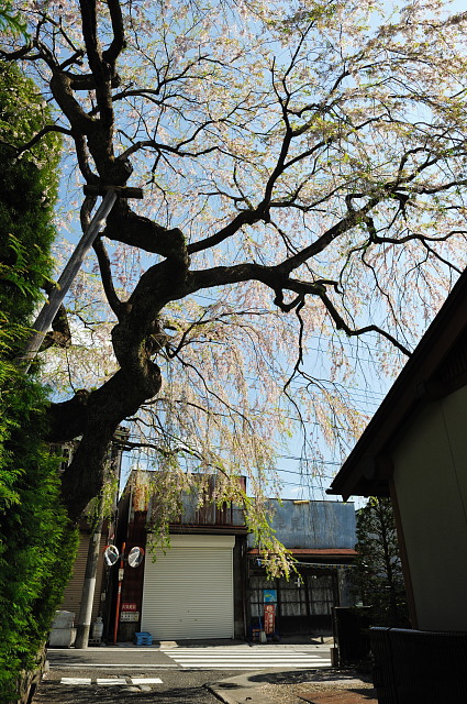 f0222161_14451292.jpg
