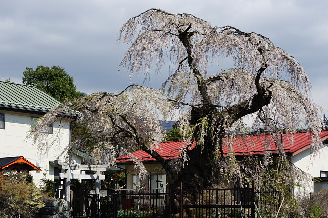 f0222161_14451999.jpg