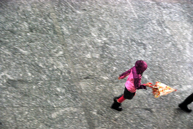 b0174068_2231572.jpg