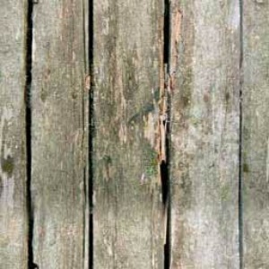d0041268_16144339.jpg