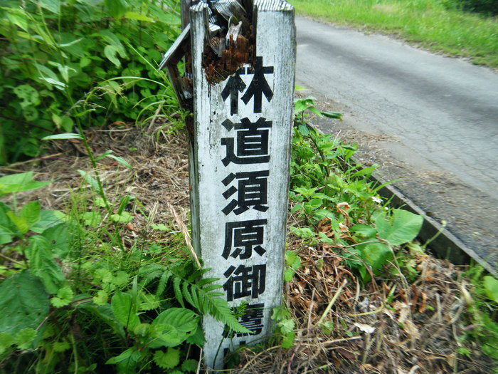 f0223068_7474736.jpg