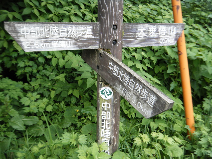 f0223068_7485085.jpg
