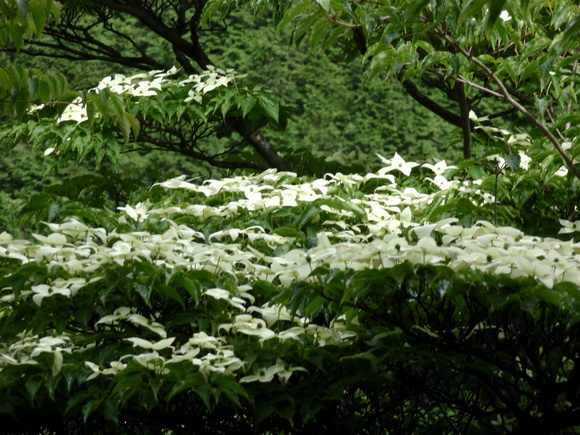 c0042869_20582083.jpg