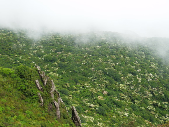 c0042869_2101717.jpg