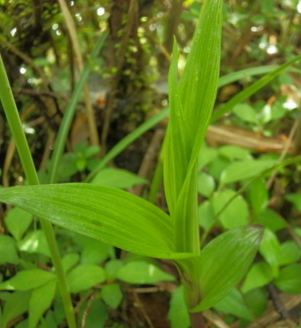c0042869_215199.jpg