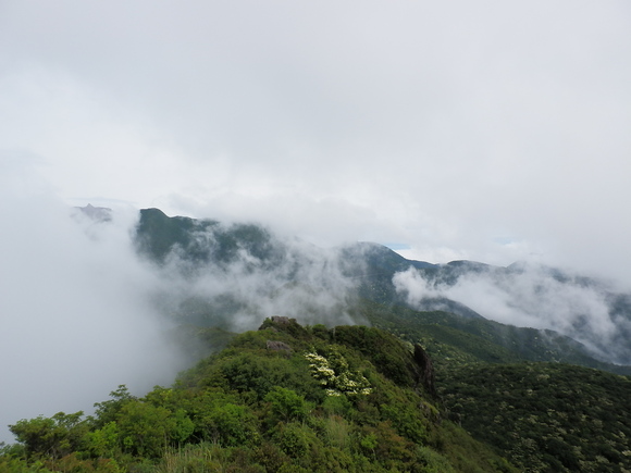 c0042869_2173648.jpg