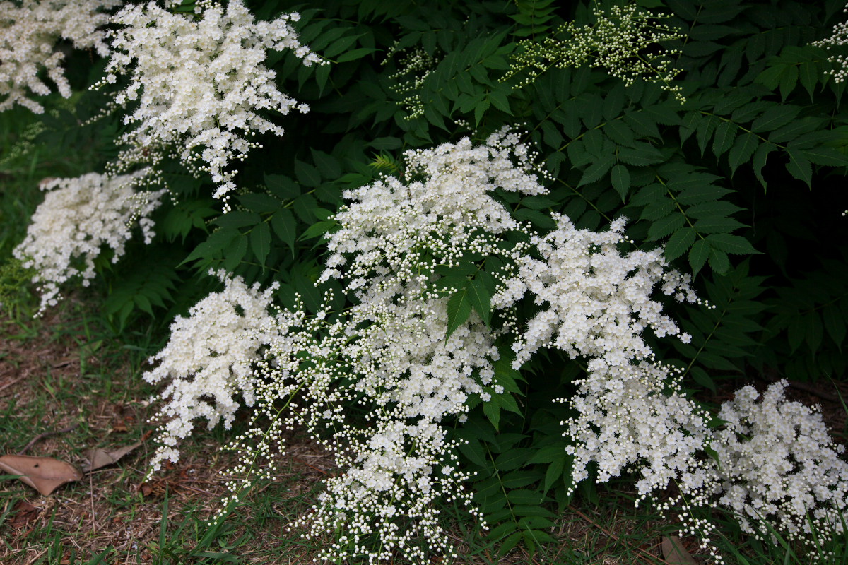 a0083081_16111439.jpg