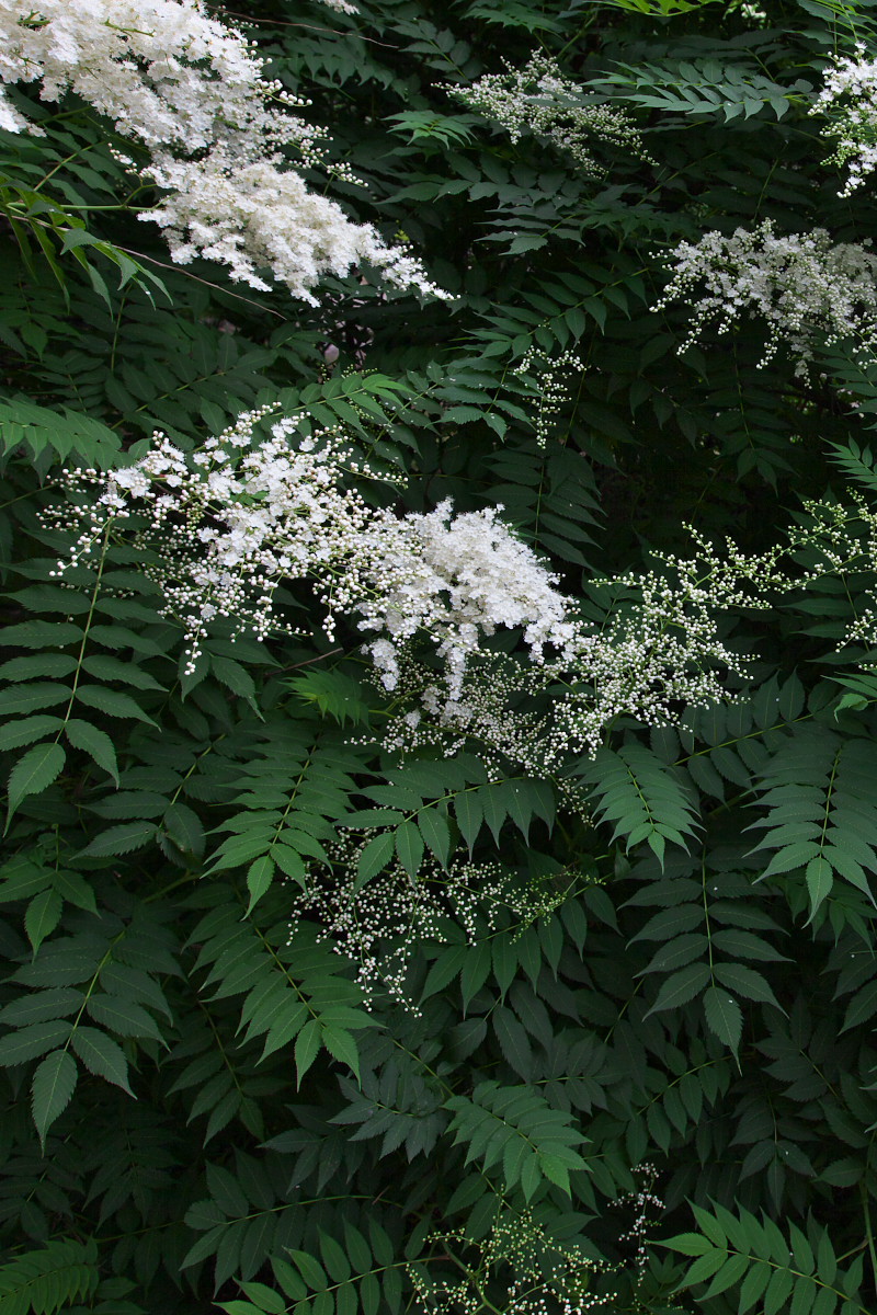 a0083081_1611376.jpg