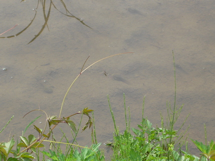 b0042882_0514312.jpg