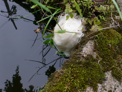 b0042882_0524720.jpg