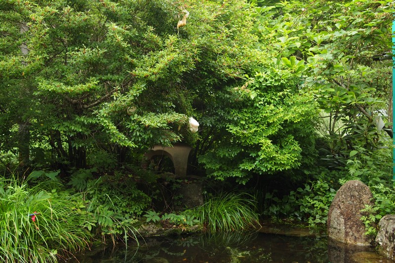 b0108186_2305647.jpg
