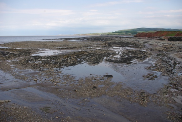 c0132488_647141.jpg