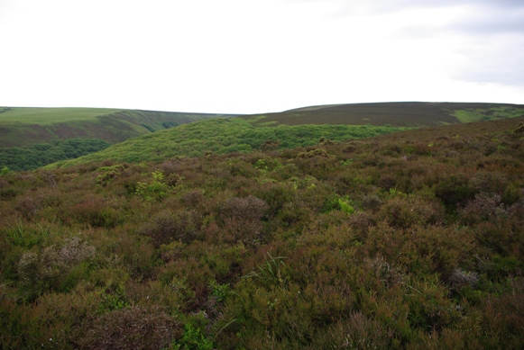 c0132488_7153284.jpg