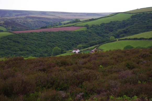 c0132488_7222015.jpg