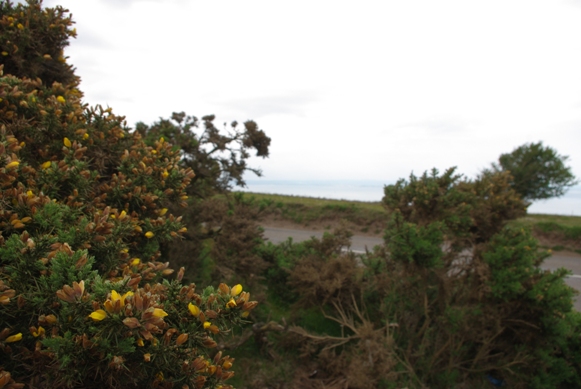 c0132488_7235062.jpg