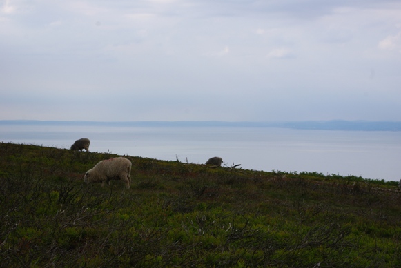 c0132488_725594.jpg