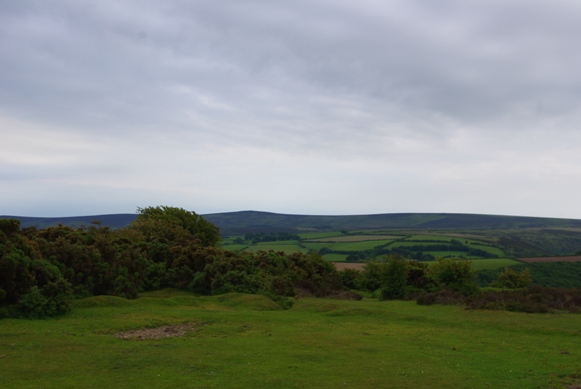c0132488_726285.jpg