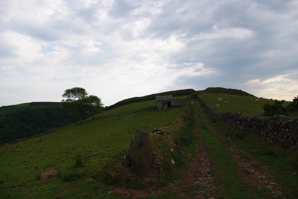 c0132488_730541.jpg