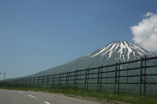 f0127388_225476.jpg