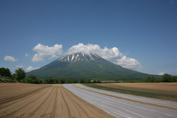 f0127388_2273468.jpg