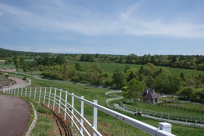 f0079289_015331.jpg
