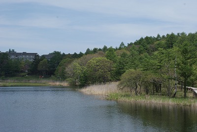 f0079289_05424.jpg