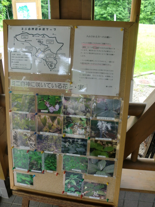 f0230992_15245525.jpg