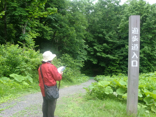 f0230992_15543398.jpg