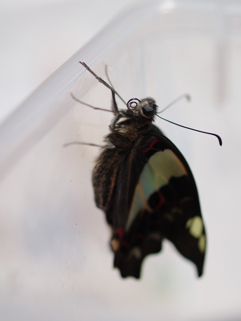 b0194593_14435979.jpg