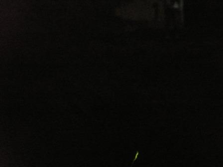 c0018195_1736322.jpg