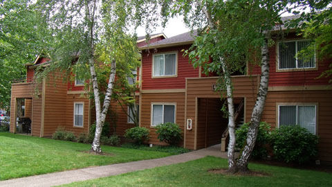 d0000995_16421343.jpg