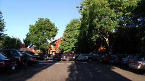d0000995_16482542.jpg
