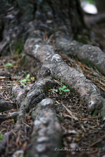 f0001895_2365867.jpg