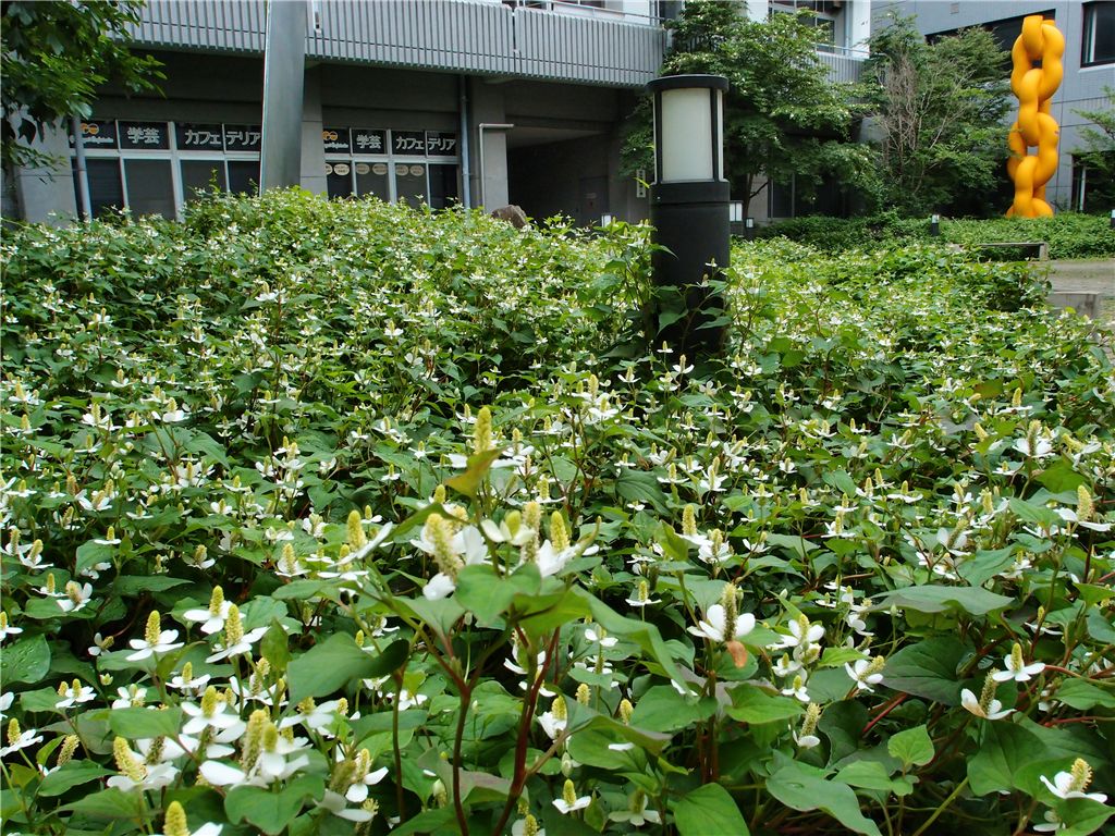 f0224100_22461247.jpg