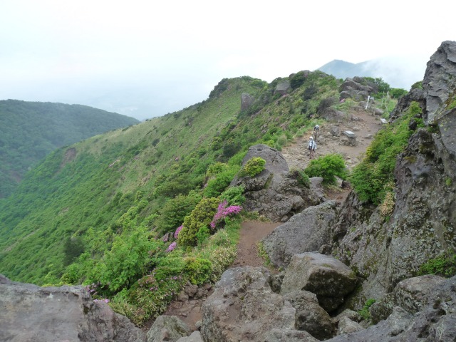 b0025101_23275886.jpg