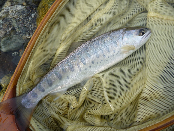 b0229003_17573792.jpg