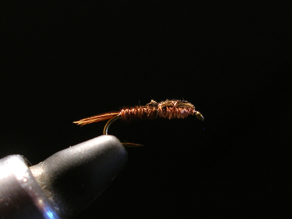 a0176707_9143458.jpg