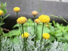 c0190010_20525839.jpg