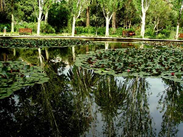 b0064411_8163040.jpg