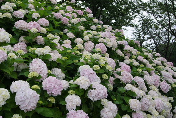 c0020320_1653550.jpg