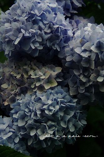 c0093830_2213968.jpg