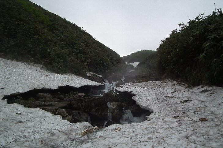 f0118332_112445.jpg