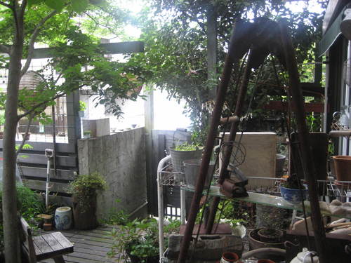 b0166435_15213831.jpg