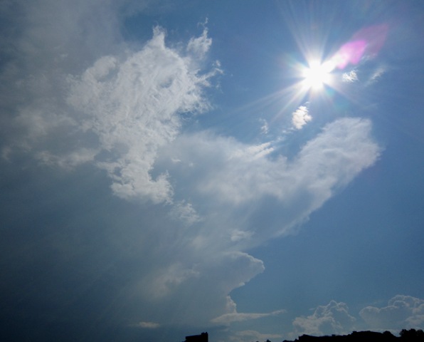 b0173754_9544322.jpg