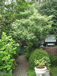 a0021558_1312054.jpg