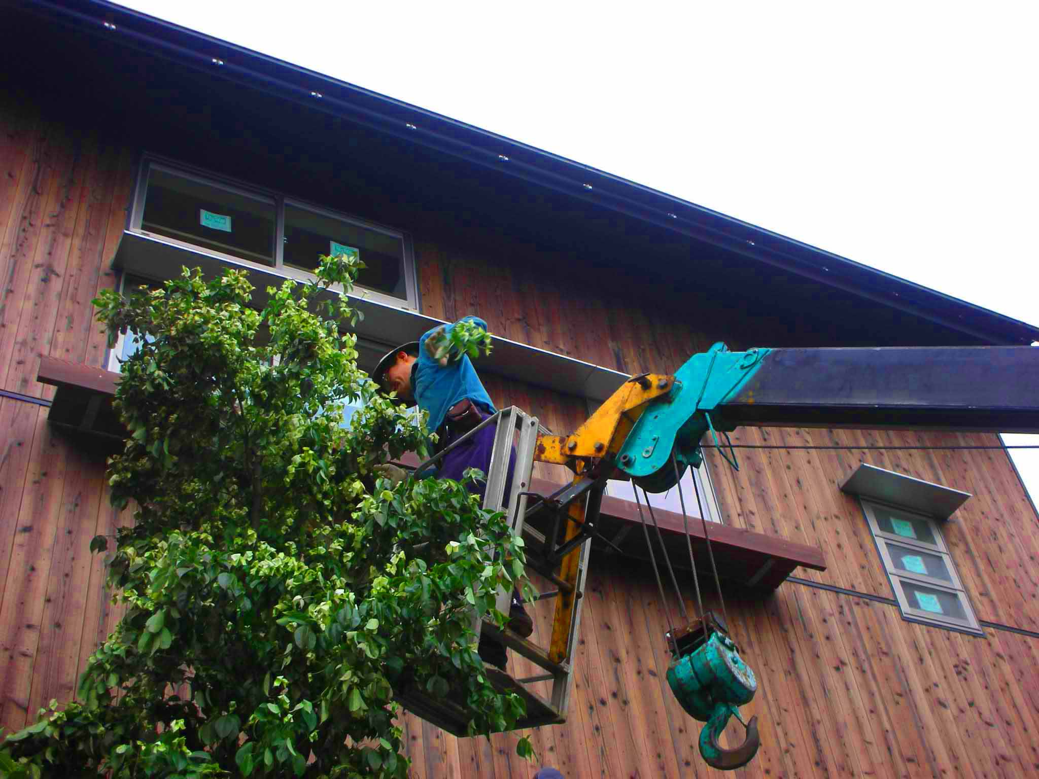 c0127058_18265539.jpg