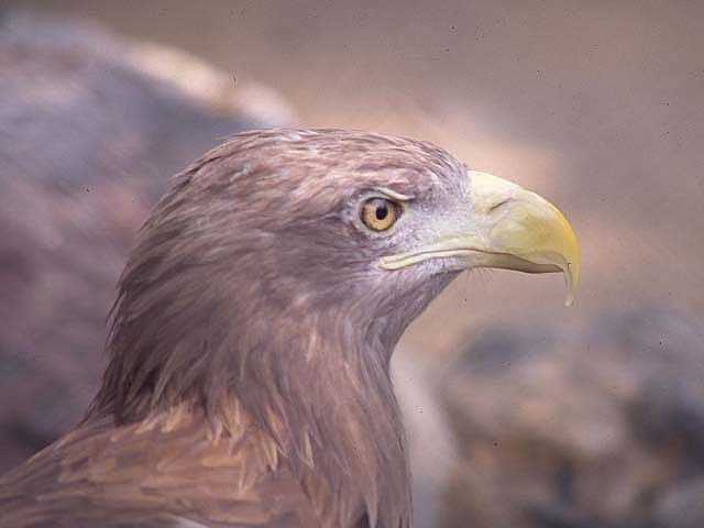 e0000968_17504222.jpg
