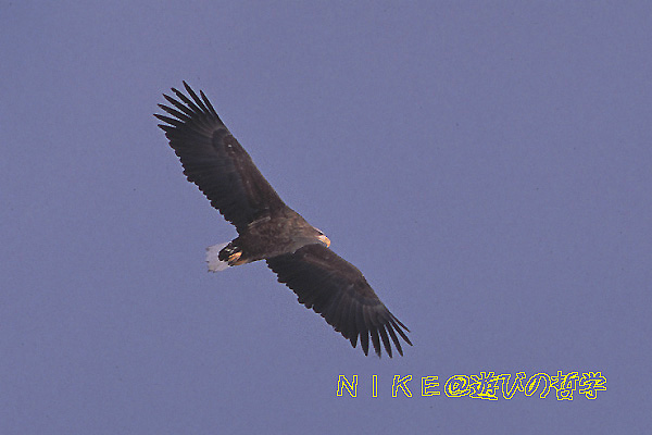 e0000968_17543051.jpg